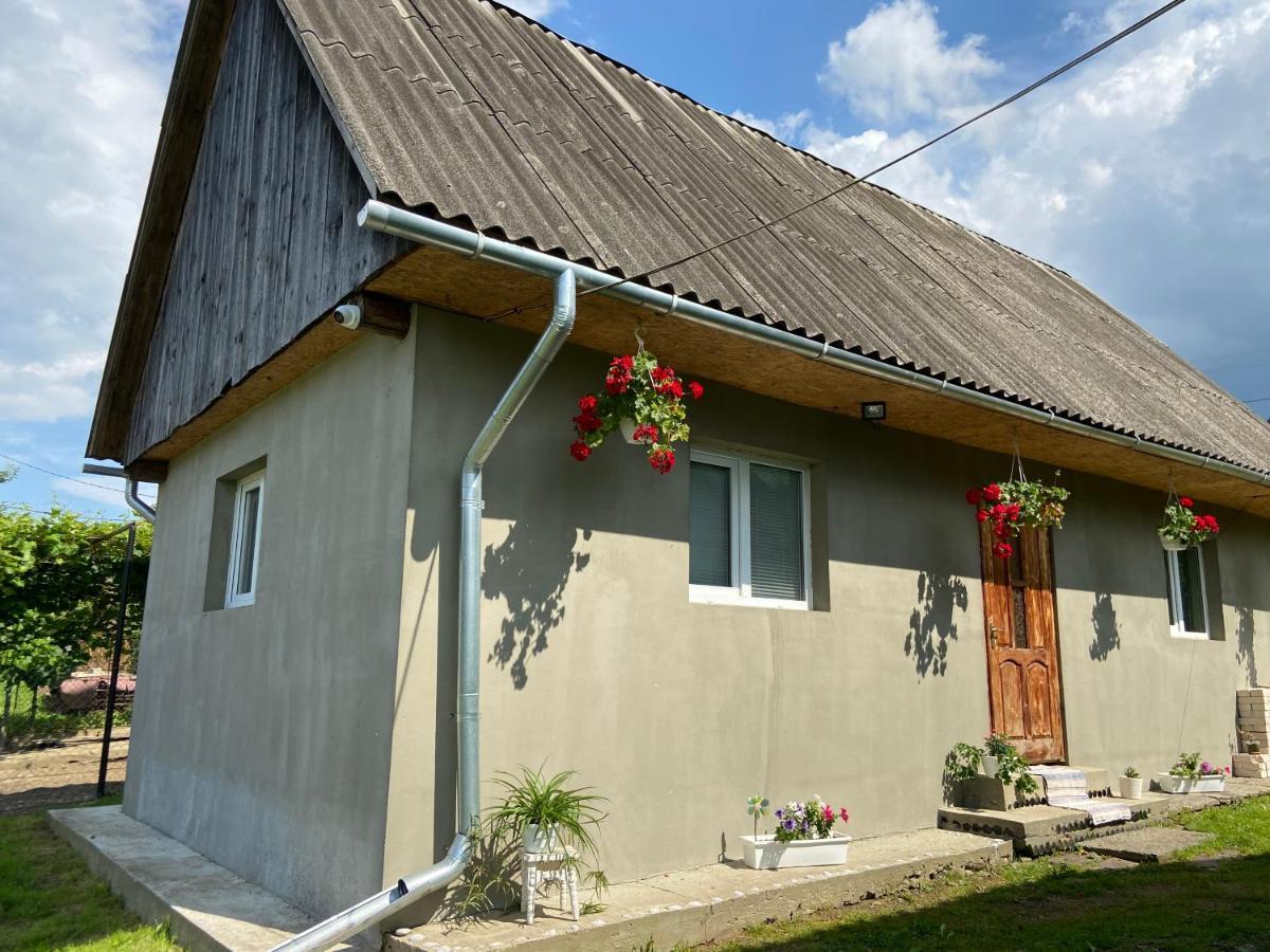 Біля Саду Volovets Dış mekan fotoğraf