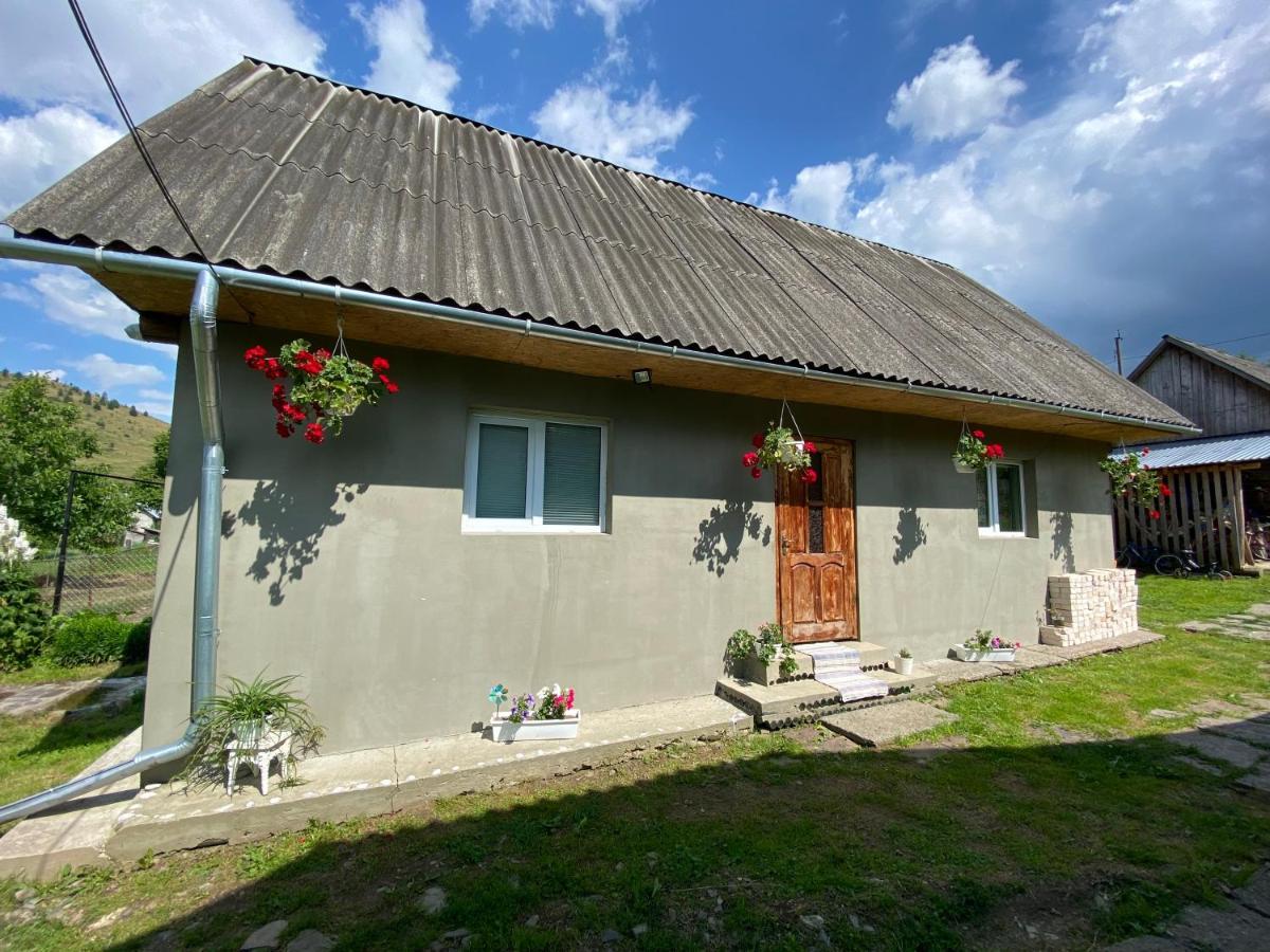 Біля Саду Volovets Dış mekan fotoğraf