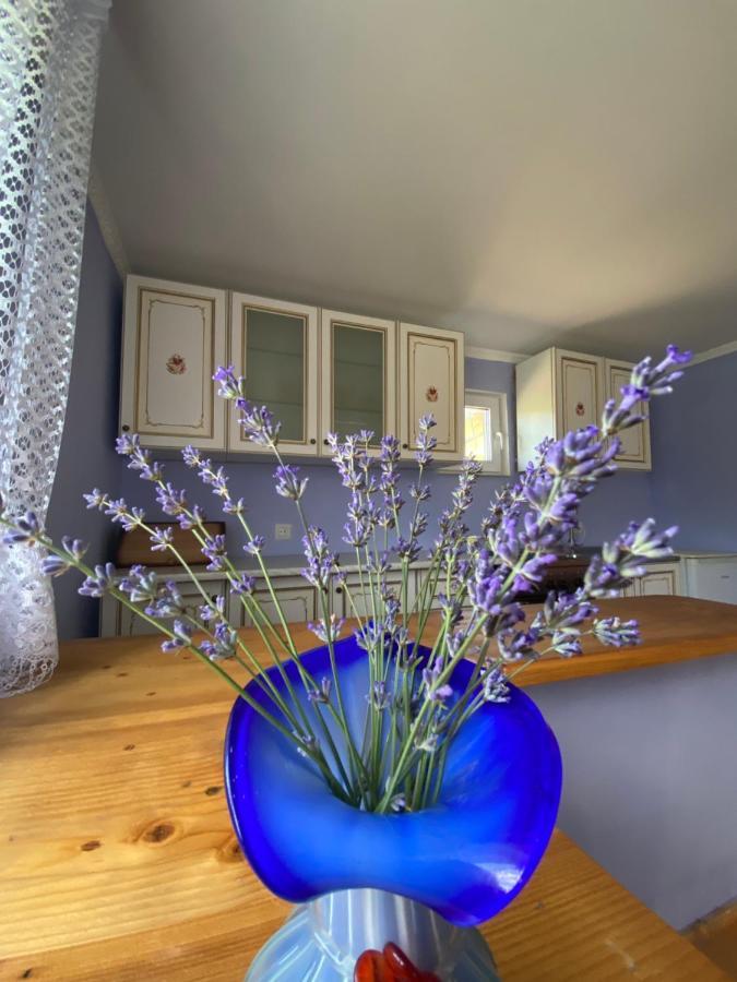Біля Саду Volovets Dış mekan fotoğraf